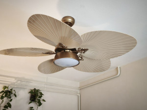 Photo de galerie - Ventilateur (usage domestique)