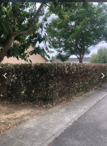 Photo de galerie - Jardinier