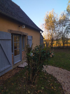 Photo de galerie - Taille d'un arbuste et tonte. Z-turn Toro et taille haie Parkside gamme professionnelle. 