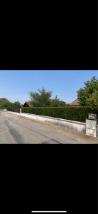 Photo de galerie - Taillages de haie 