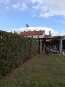 Photo de galerie - Taille de haies