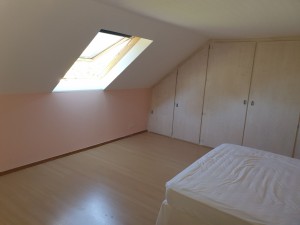 Photo de galerie - Peinture - Tapisserie