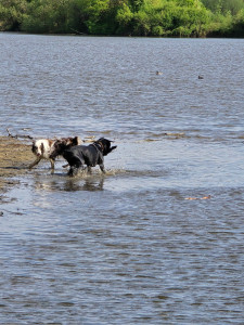 Photo de galerie - Des magnifiques balades ❤️?