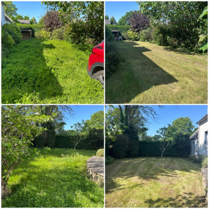 Photo de galerie - Tonte Printanière 