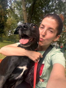 Photo de galerie - Garde chien
