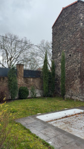 Photo de galerie - Taille d’arbuste