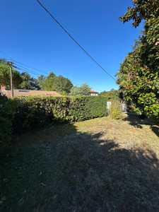 Photo de galerie - Taille de haie à Vertou (après)