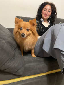 Photo de galerie - Garde chien