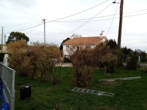 Photo de galerie - Avant 

