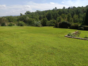 Photo de galerie - Tonte et débroussaillage de terrain 