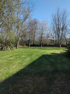 Photo de galerie - Tonte de pelouse 