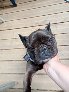 Photo de galerie - La douce Peach 