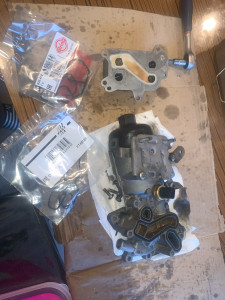 Photo de galerie - Changement joint radiateur huile 1.6 hdi