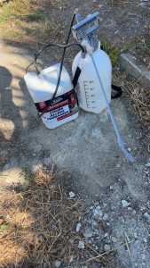 Photo de galerie - Désherbage 