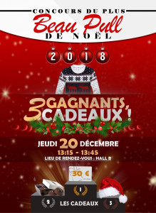 Photo de galerie - Affiche pour un événement au sein d’un établissement scolaire