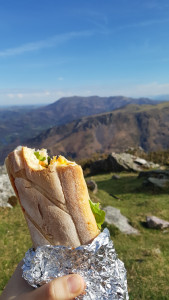 Photo de galerie - Préparation de repas, introduction nourriture vegan