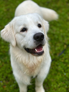 Photo de galerie - Vacanciers Heureux ! 