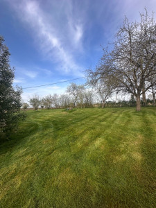 Photo de galerie - Tonte de pelouse - Débroussaillage