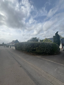 Photo de galerie - Taille de haies