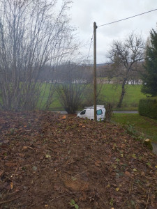 Photo de galerie - Nettoyage d'une parcelle de 60 ans pour reboisement en jeune plan