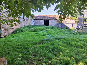 Photo de galerie - Tonte de pelouse - Débroussaillage