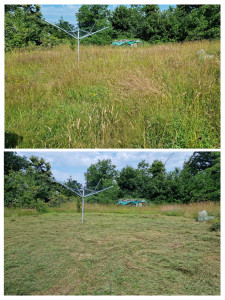 Photo de galerie - Débroussaillage 