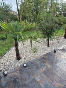 Photo de galerie - Création de massif 