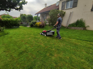 Photo de galerie - Tonte de pelouse 
