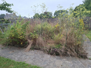 Photo de galerie - Avant (4)