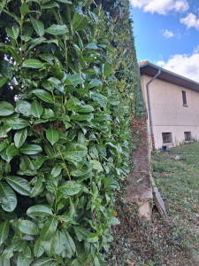 Photo de galerie - Jardinier