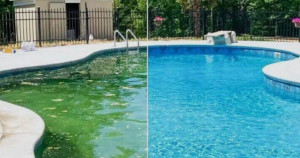 Photo de galerie - Entretien piscine