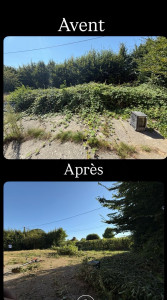 Photo de galerie - Débroussaillage