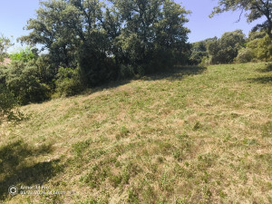Photo de galerie - Après débroussaillage 