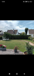 Photo de galerie - Taillage de haie 