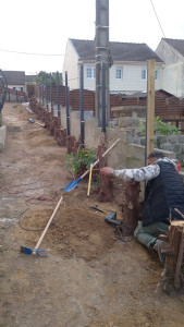 Photo de galerie - Elagage et coupe d'arbres
