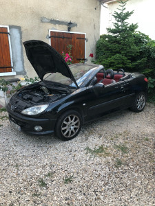 Photo de galerie - Restauration complète 206cc 2L 16S 138ch