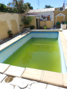 Photo de galerie - Piscine en cours de vidange pour nettoyage. (eau saturée)