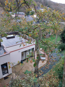 Photo de galerie - élagage 