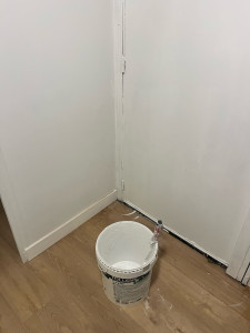 Photo de galerie - Peinture murale et portes 