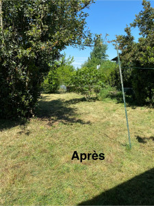 Photo de galerie - Après débroussaillage et tonte