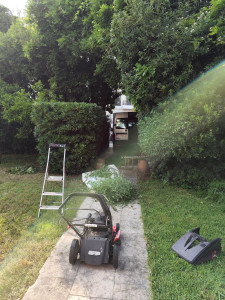 Photo de galerie - Jardinier