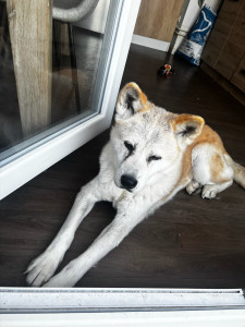 Photo de galerie - Aya 10 ans 