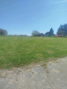 Photo de galerie - Tonte pelouse 