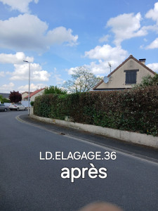 Photo de galerie - Taillage de haie 