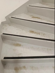 Photo de galerie - Bon résultats 