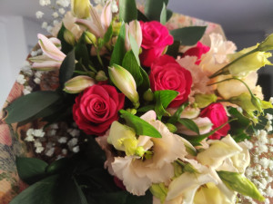 Photo de galerie - Aide ménage 