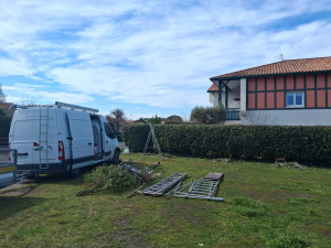 Photo de galerie - Taille de haies 
