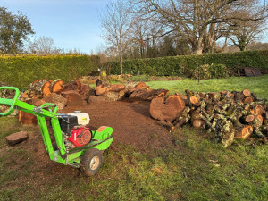 Photo de galerie - Rognage de souche