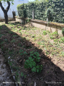 Photo de galerie - Paysagiste - Aménagement du jardin