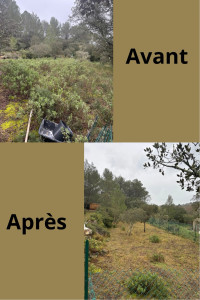 Photo de galerie - Tonte de pelouse - Débroussaillage